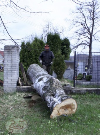 Kácení u hřbitova v Tylovicích duben 2012 019