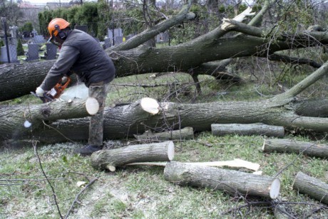 Kácení u hřbitova v Tylovicích duben 2012 026