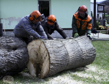 Kácení u hřbitova v Tylovicích duben 2012 037