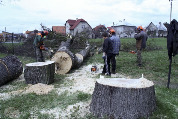 Kácení u hřbitova v Tylovicích duben 2012 042