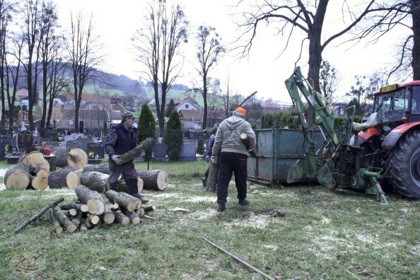 Kácení u hřbitova v Tylovicích duben 2012 048