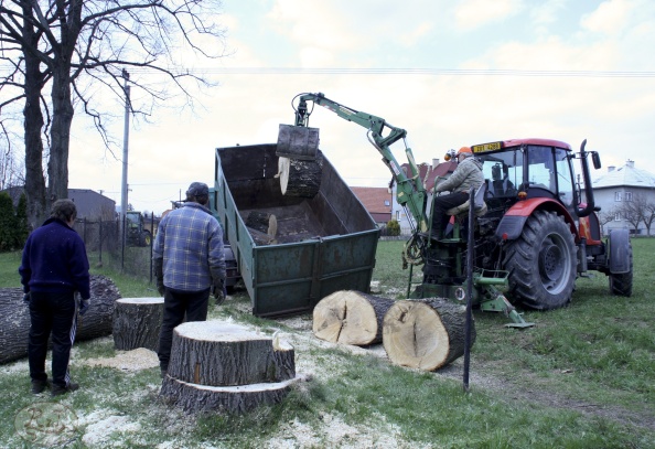 Kácení u hřbitova v Tylovicích duben 2012 051