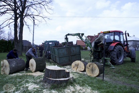 Kácení u hřbitova v Tylovicích duben 2012 052