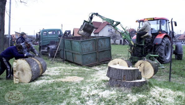 Kácení u hřbitova v Tylovicích duben 2012 053