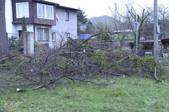 Kácení u hřbitova v Tylovicích duben 2012 006