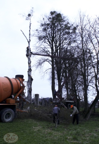 Kácení u hřbitova v Tylovicích duben 2012 010