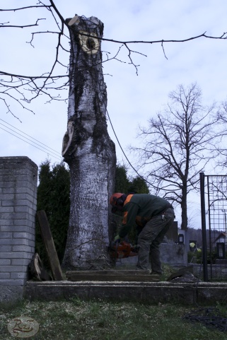 Kácení u hřbitova v Tylovicích duben 2012 013