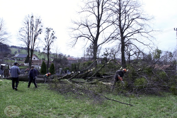 Kácení u hřbitova v Tylovicích duben 2012 024