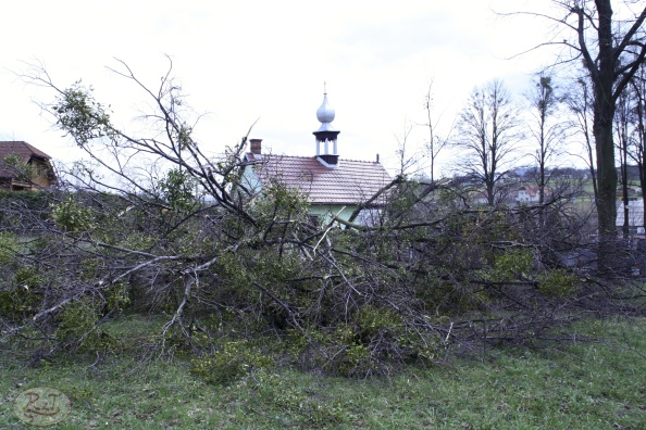 Kácení u hřbitova v Tylovicích duben 2012 027